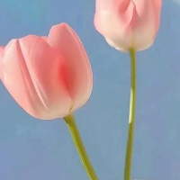 杭州陆号车队物流有限公司